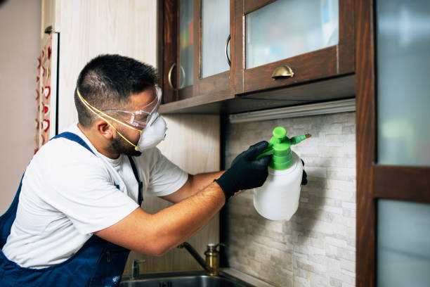Best Pest Control Near Me in Maroa, IL