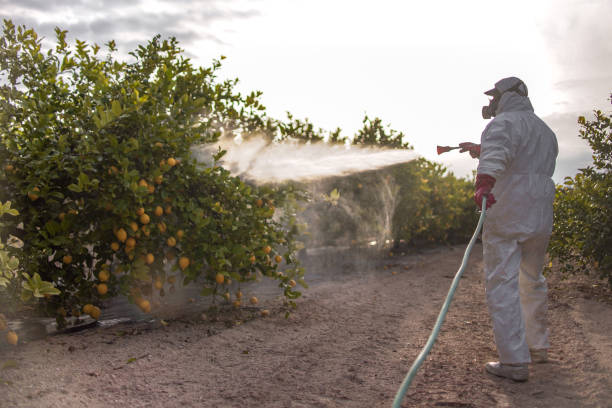 Best Pest Control for Homes  in Maroa, IL