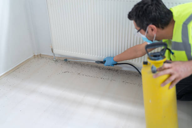 Best Rat Extermination Near Me  in Maroa, IL